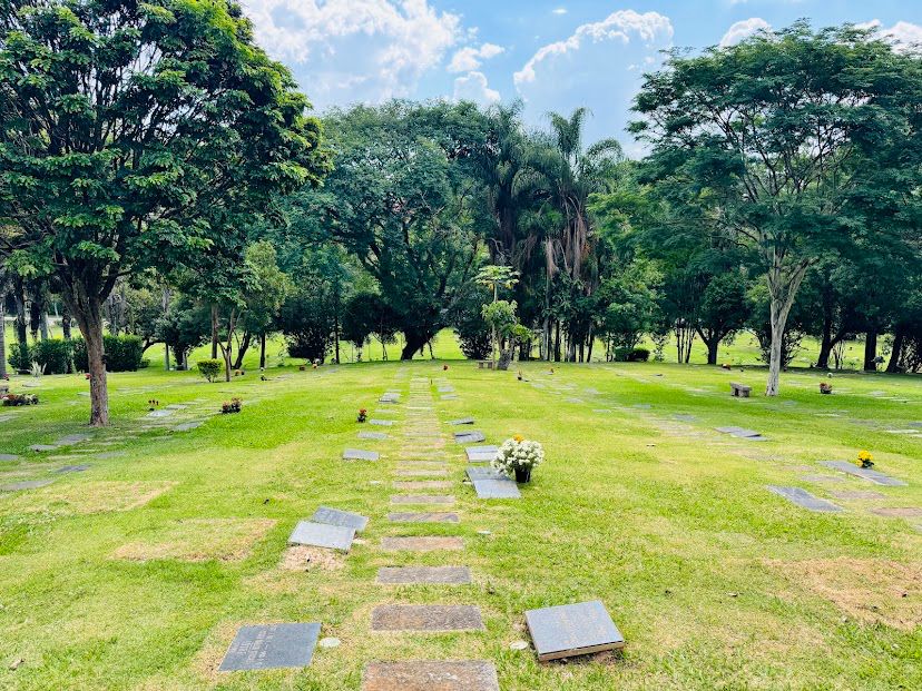 Área verde arborizada do Cemitério Jaraguá